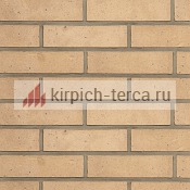 Кирпич керамический Terca® INARI пустотелый 250*85*65
