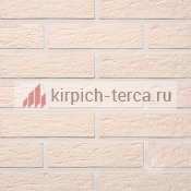 Кирпич керамический пустотелый Terca® KUURA шероховатый 250*85*65