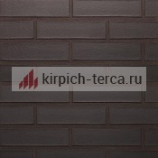 Кирпич керамический пустотелый Terca® NERO гладкий 250*85*65