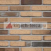 Кирпич ручной формовки Terca®  HOORNBLOEM WFD65